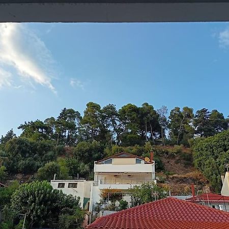Διαμέρισμα Στο Κέντρο Της Ναυπάκτου Δύο Υπνοδωμάτια 纳弗帕克托斯 外观 照片