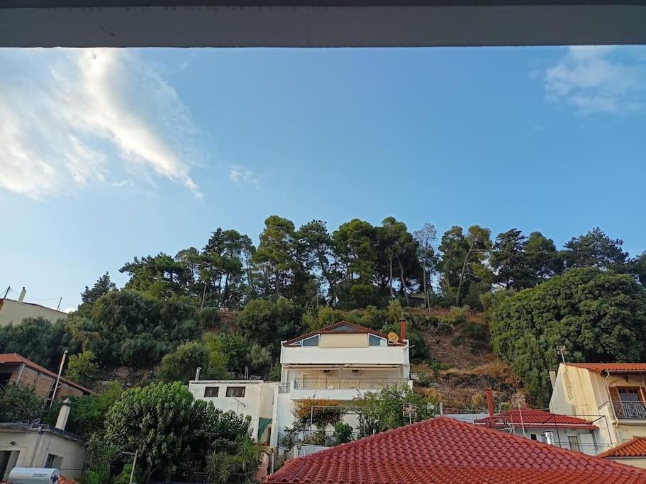 Διαμέρισμα Στο Κέντρο Της Ναυπάκτου Δύο Υπνοδωμάτια 纳弗帕克托斯 外观 照片